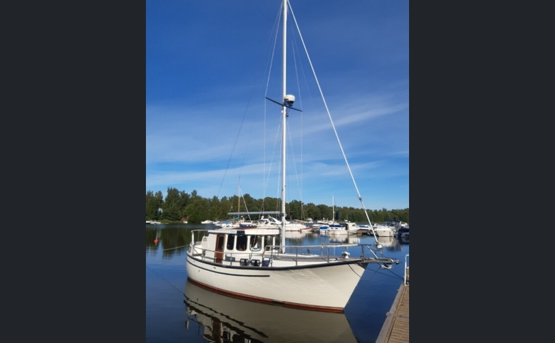 Albatross 321 ms-kuva-1